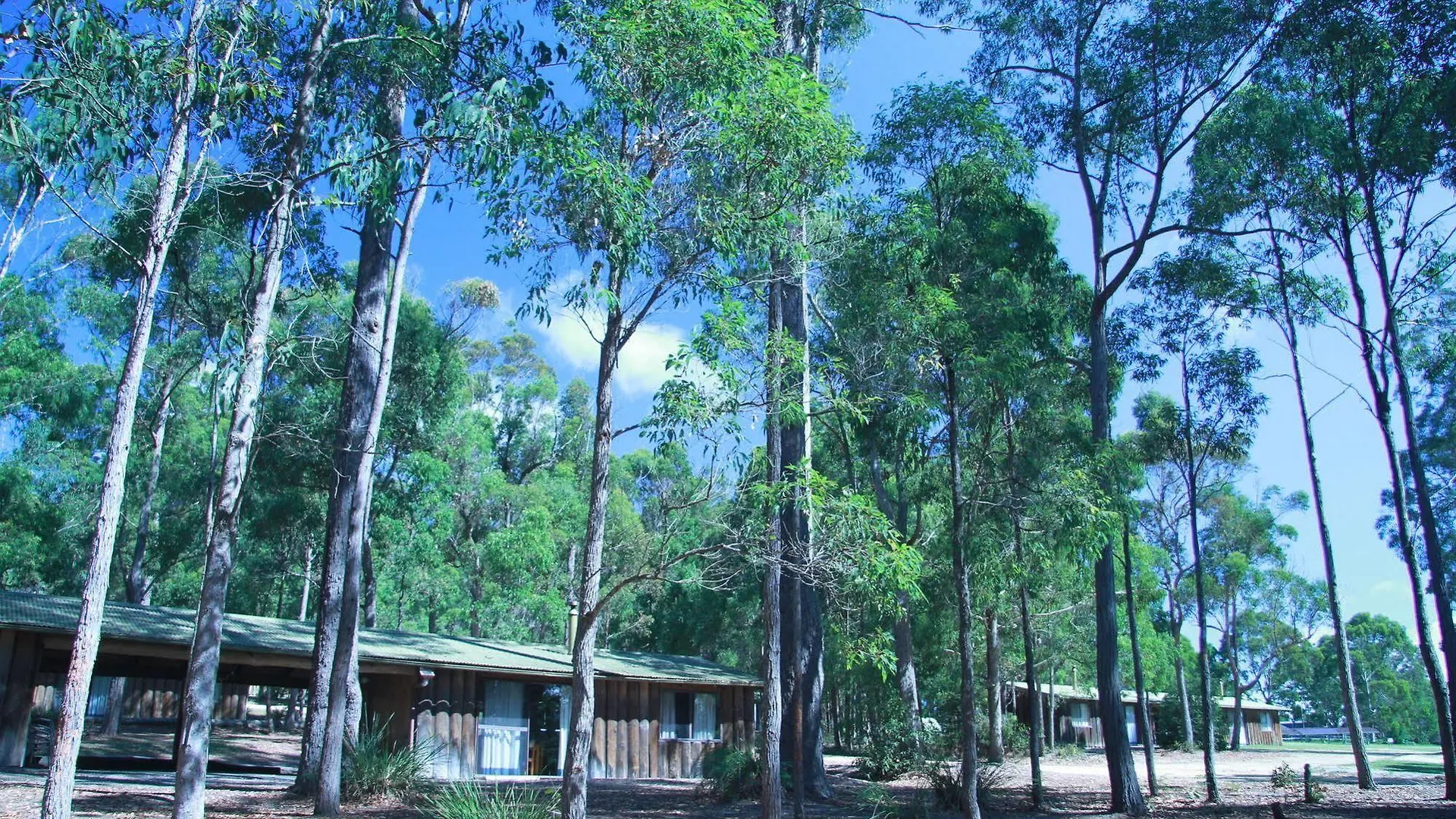 Villa Woodbine Park Eco Cabins Merimbula