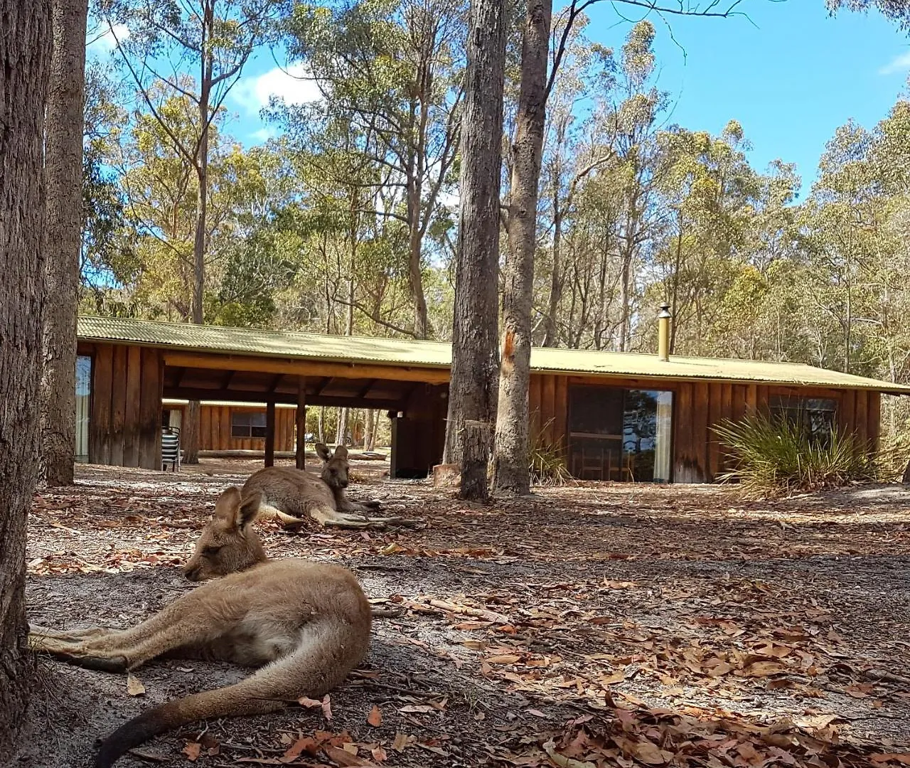 Woodbine Park Eco Cabins Villa Merimbula Lodge